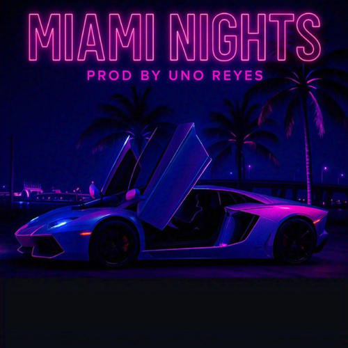 Miami Nights