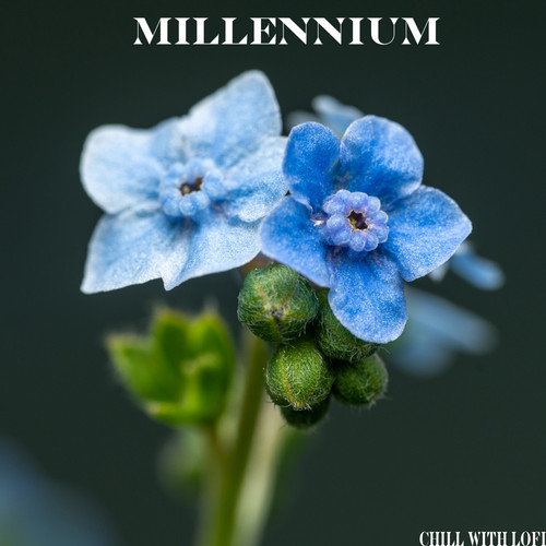 Millennium
