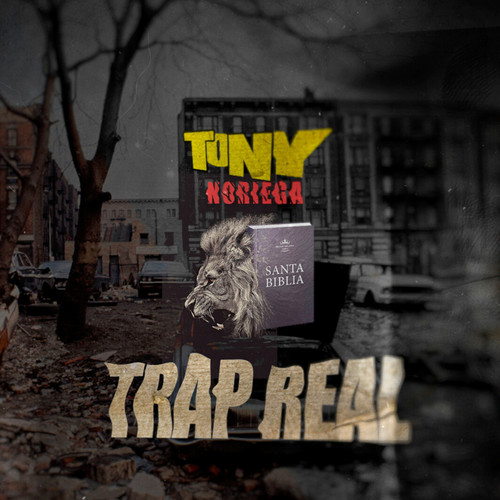 Trap Real (Explicit)