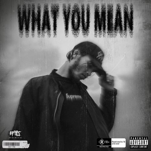 WHAT YOU MEAN (Explicit)