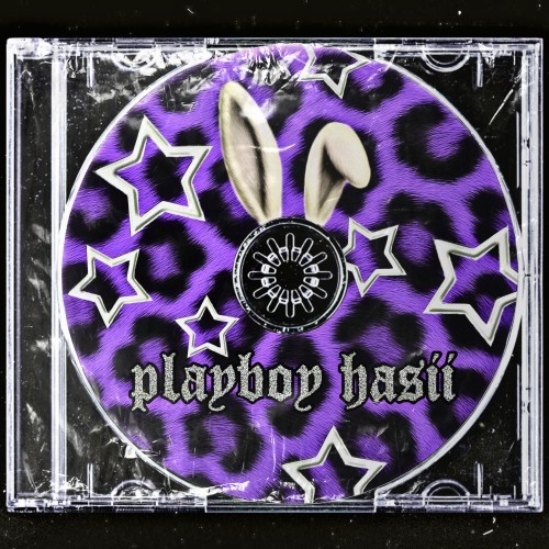 playboy hasii