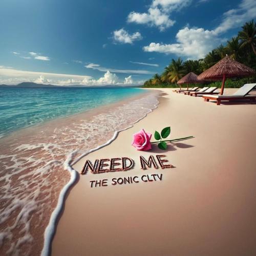 Need Me (feat. DefKee, BTrack3 & SND)