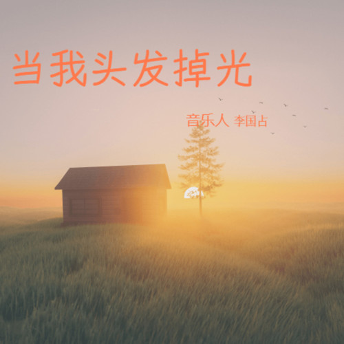 当我头发掉光