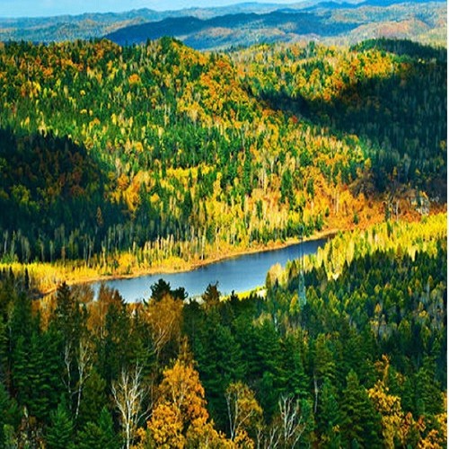 我们相逢在小兴安岭