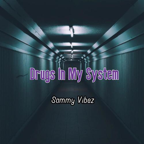*** in My System (Explicit)