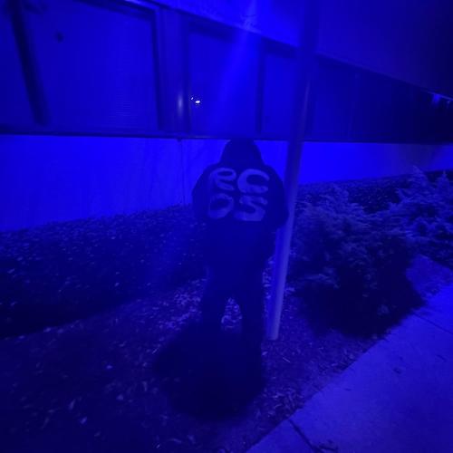 Worth it (feat. Sleazyy & LeekyKt$) [Explicit]