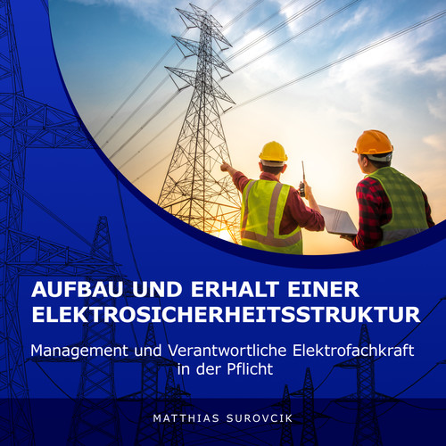 Aufbau und Erhalt einer Elektrosicherheitsstruktur (Management und Verantwortliche Elektrofachkraft in der Pflicht)