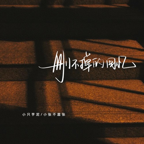 删不掉的回忆