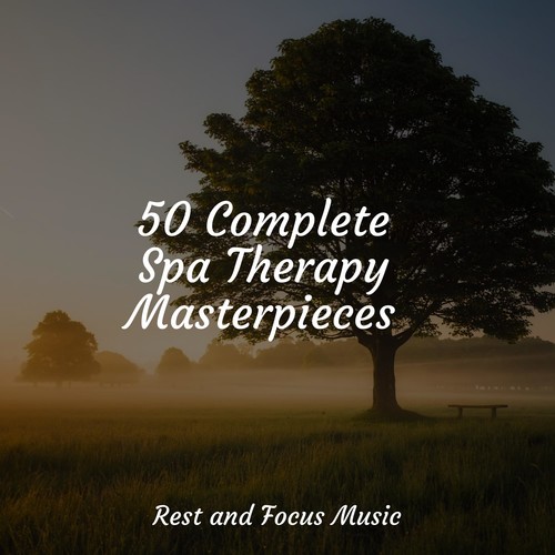 50 Complete Spa Therapy Masterpieces