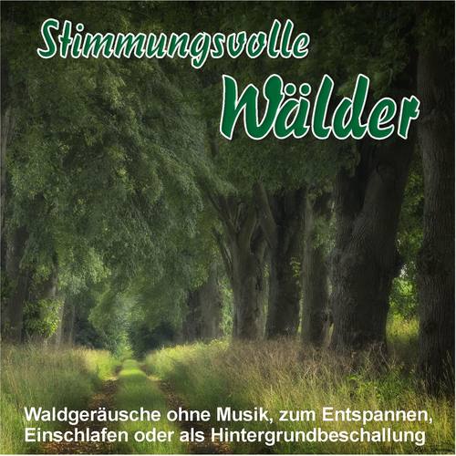 Stimmungsvolle Wälder, Waldgeräusche ohne Musik, zum Entspannen, Einschlafen oder als Hintergrundbeschallung