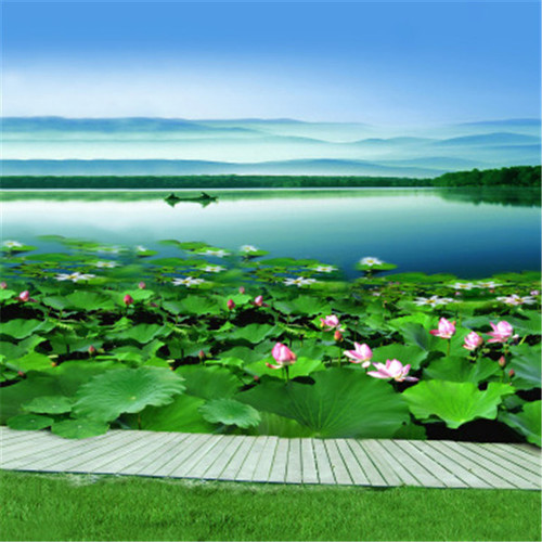 蒋伟 - 把最好的给你