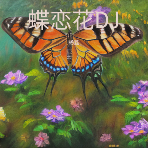 蝶恋花DJ