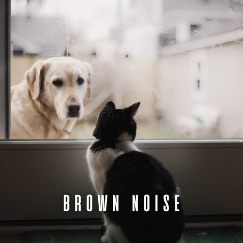 Brown Noise: Fun and Upbeat Harmonies for Active Pets