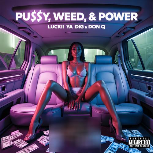 Streets Watchin (feat. Don Q) [Explicit]