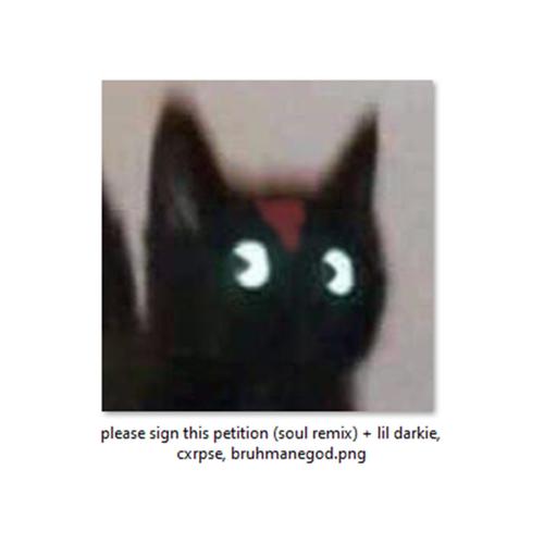 please sign this petition (feat. Brahman, BRUHMANEGOD & Cxrpse) [soul remix] [Explicit]
