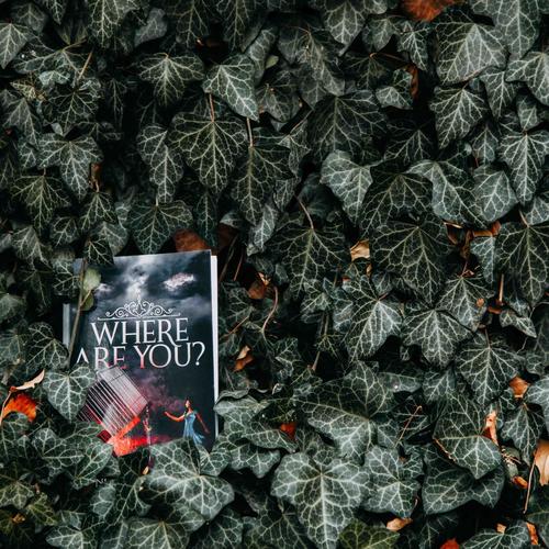 原调嗨畅辑 (一)