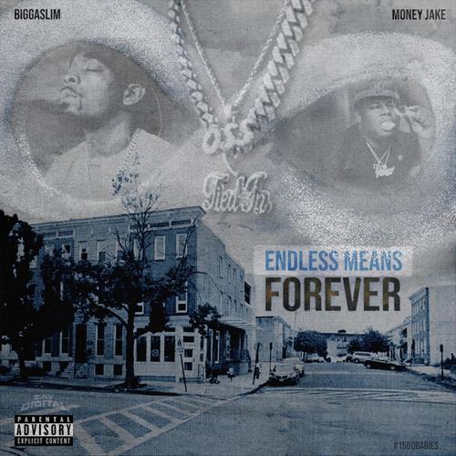 Endless Means Forever (Explicit)
