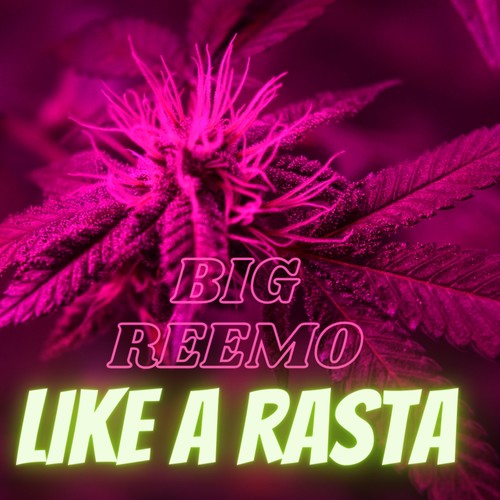 Like A Rasta (Explicit)