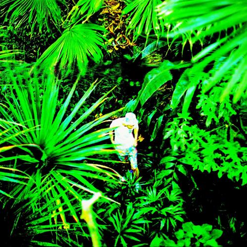 Overjungle