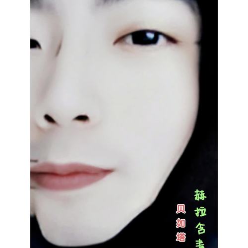 贝如塔DJ（赫拉含青 Remix）