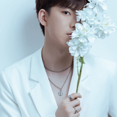 杜鹃花下定终身