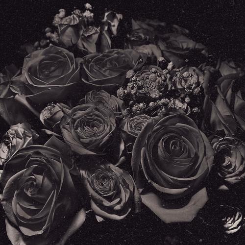 Petals (Explicit)