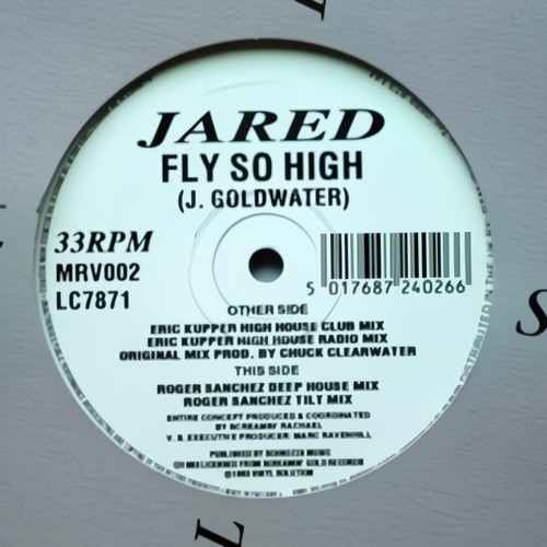 Fly So High