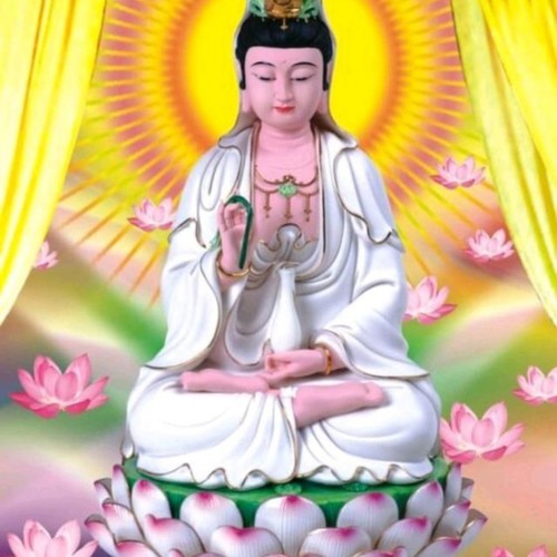 善根接善缘