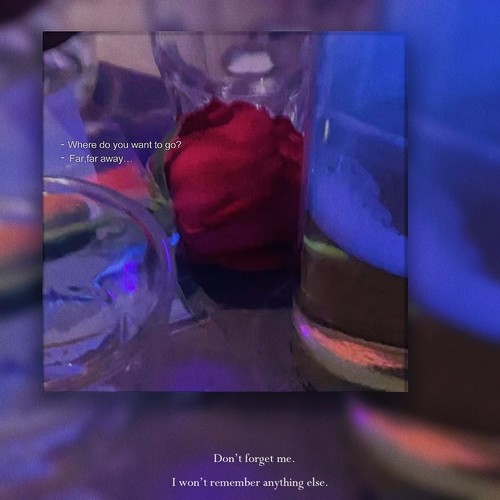 玫瑰 酒精 午睡