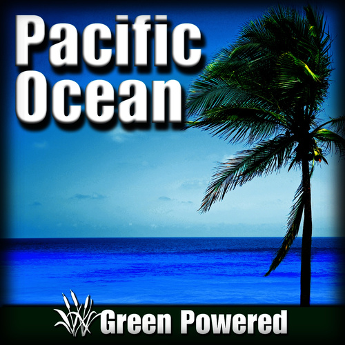 Pacific Ocean (Nature Sound)