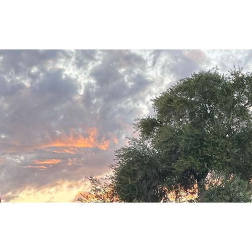 The Day My Heart Fell