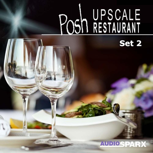 Posh Upscale Restaurant, Set 2