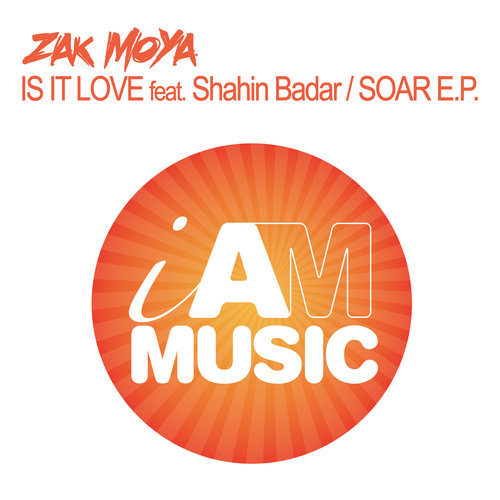 Is It Love / Soar - EP