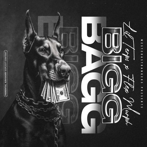Bigg Bagg (feat. Lil Terps) [Explicit]