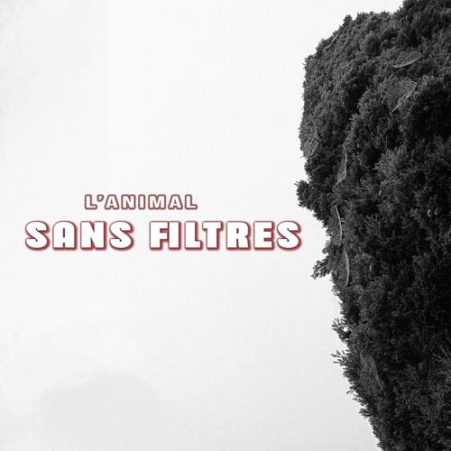 Sans filtres (Explicit)
