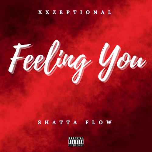 Feeling You (Explicit)