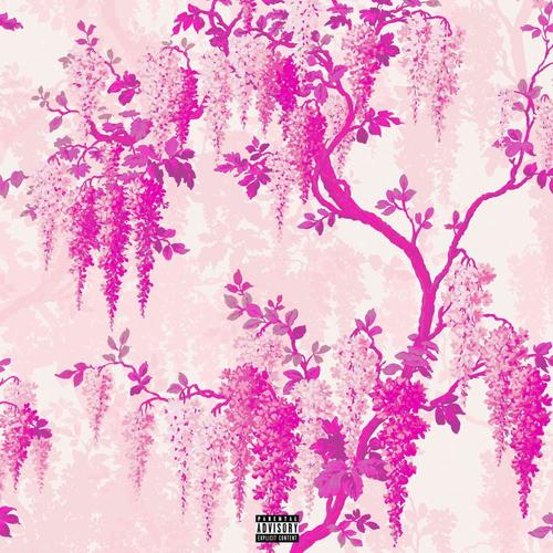MONEY SPREAD (feat. o6influence & Sketchy4ever) [Explicit]