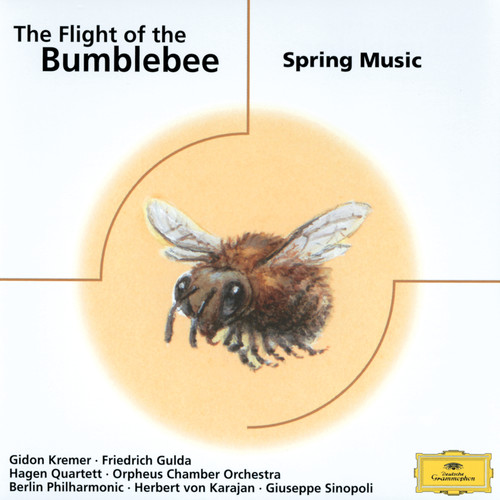 The Flight of The Bumblebee - Spring Music