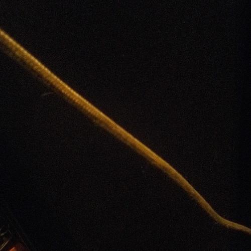 Reporting For Duty (Explicit)