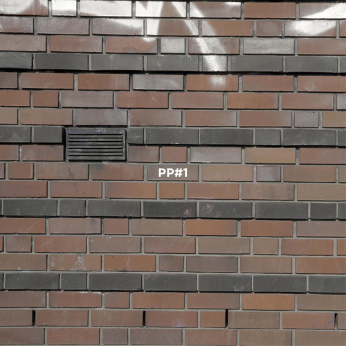 PP#1