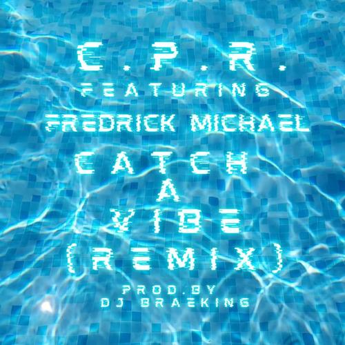 Catch A Vibe (feat. Fredrick Michael) [Remix] [Explicit]