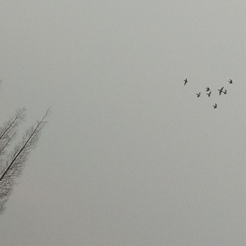 荏苒时光