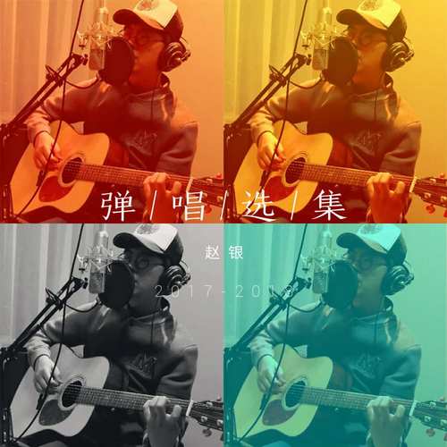 赵银弹唱选集