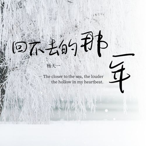 回不去的那一年