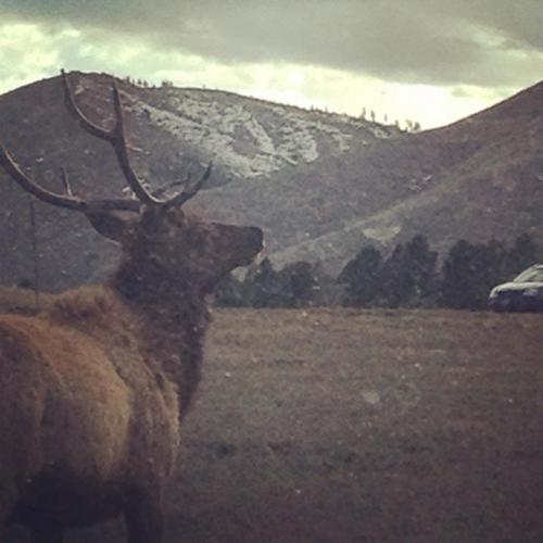 every single day (feat. holdmetillicry)