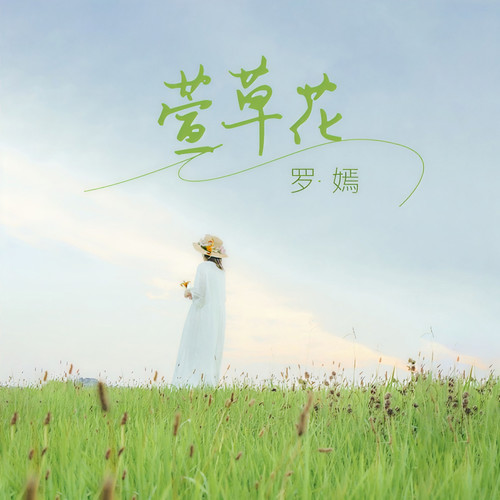 萱草花