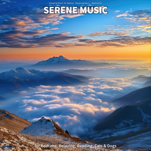 #01 Serene Music for Bedtime, Relaxing, Reading, Cats & Dogs