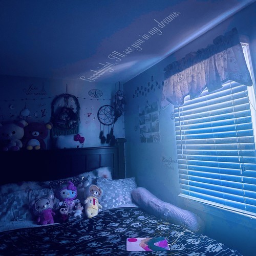 goodnight, i’ll see you in my dreams