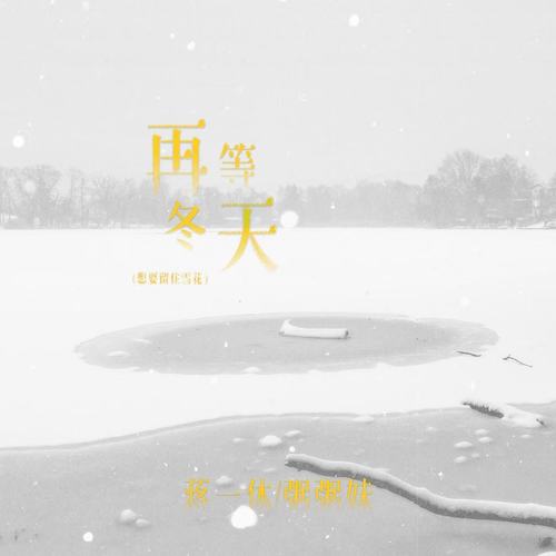 再等冬天(想要留住雪花)