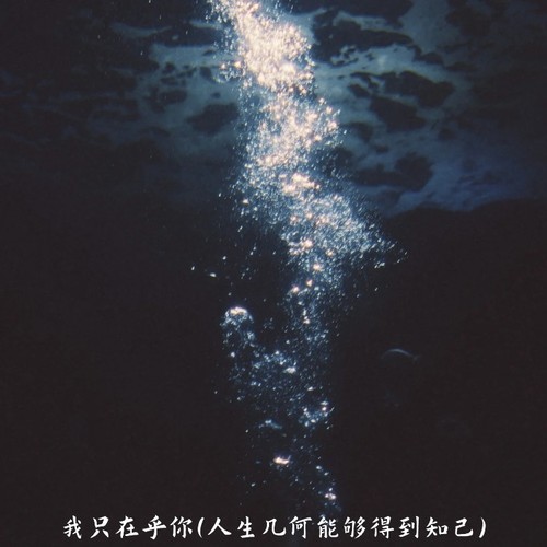 我只在乎你（人生几何能够得到知己）